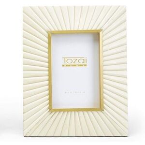 TOZAI NWT resin sunburst picture frame with brass -4x6